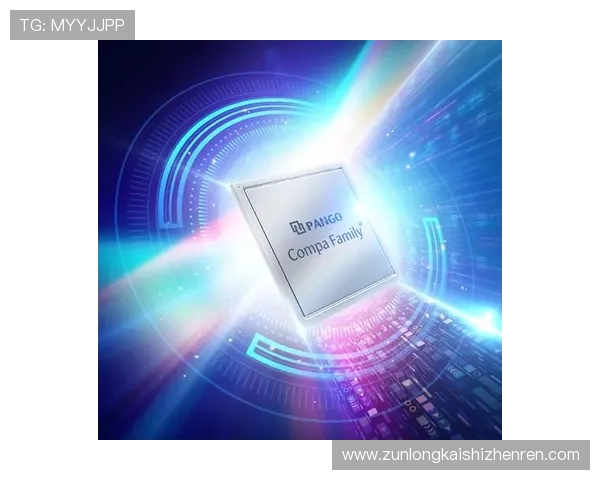 深度解析尊龙凯时平台网页版提供的优惠活动与奖励