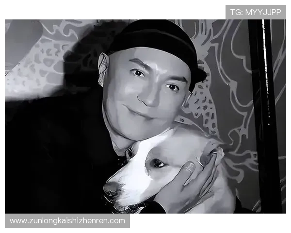 用户为何青睐尊龙app，全面分析其吸引力所在